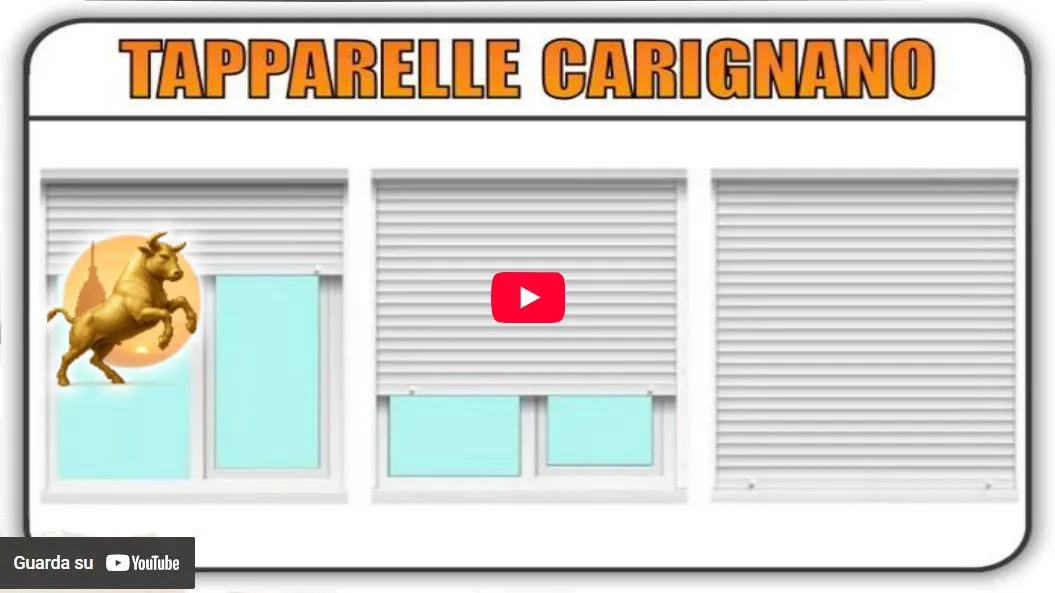 Video Torino Finestre: Tapparelle Carignano